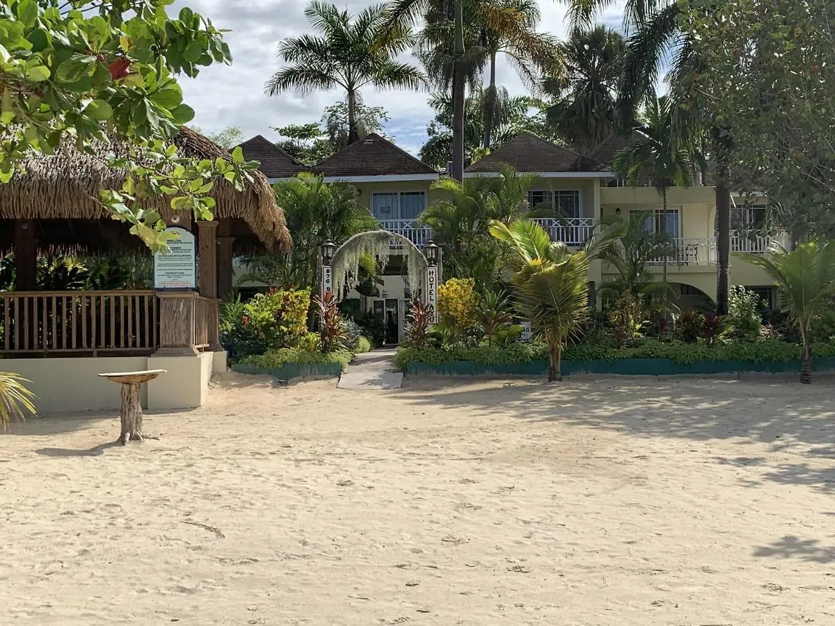 别墅 King Suite At Oceanview Resort In Jamaica - Enjoy 7 Miles Of White Sand Beach! 内格里尔 牙买加