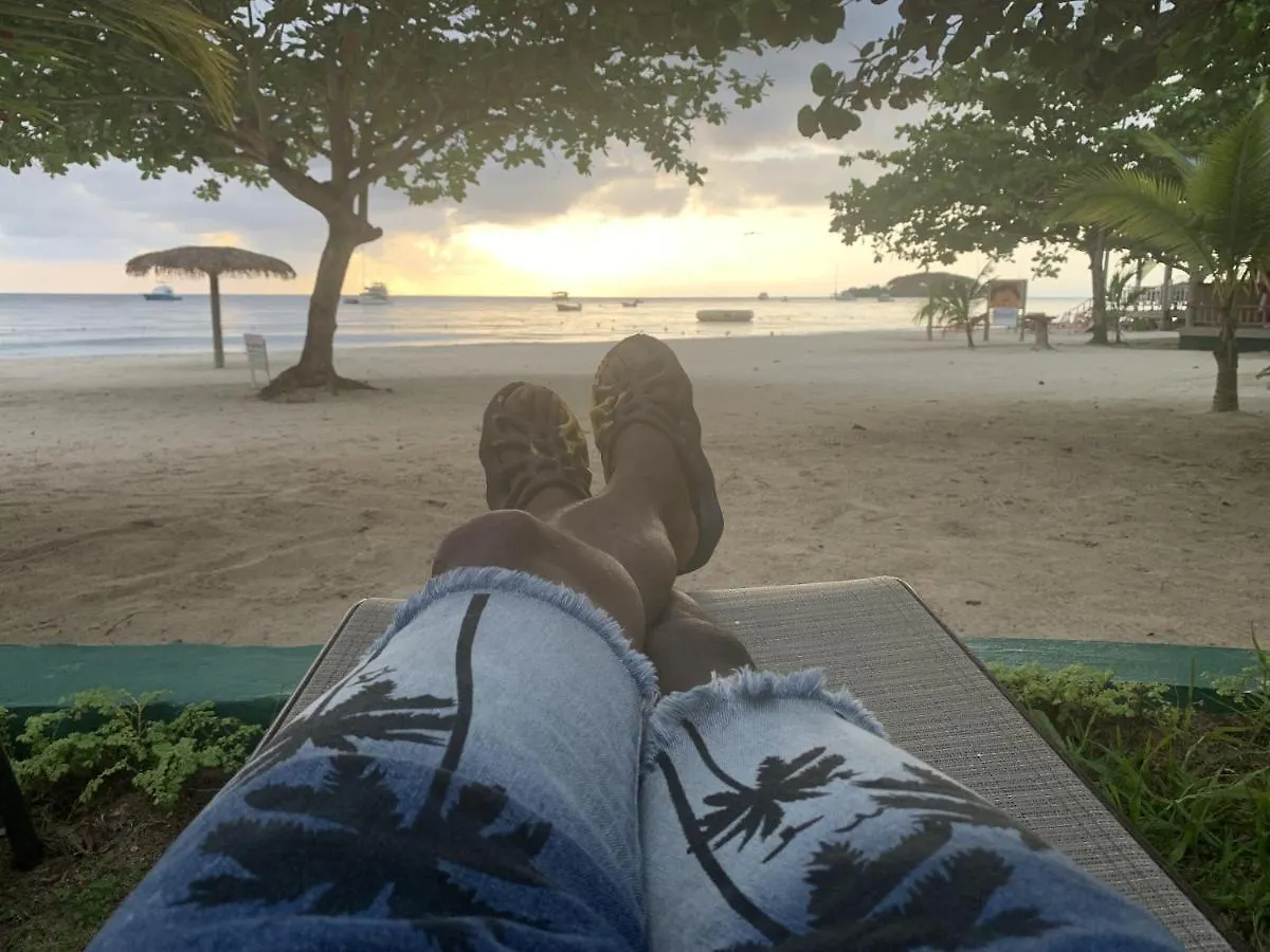 别墅 King Suite At Oceanview Resort In Jamaica - Enjoy 7 Miles Of White Sand Beach! 内格里尔