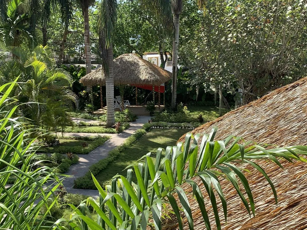 King Suite At Oceanview Resort In Jamaica - Enjoy 7 Miles Of White Sand Beach! Negril Villa