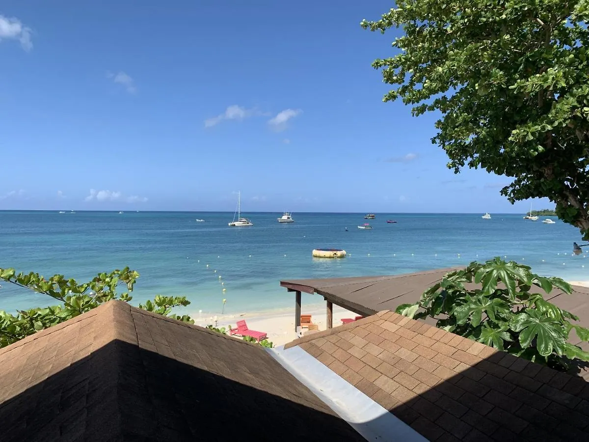 King Suite At Oceanview Resort In Jamaica - Enjoy 7 Miles Of White Sand Beach! contacts