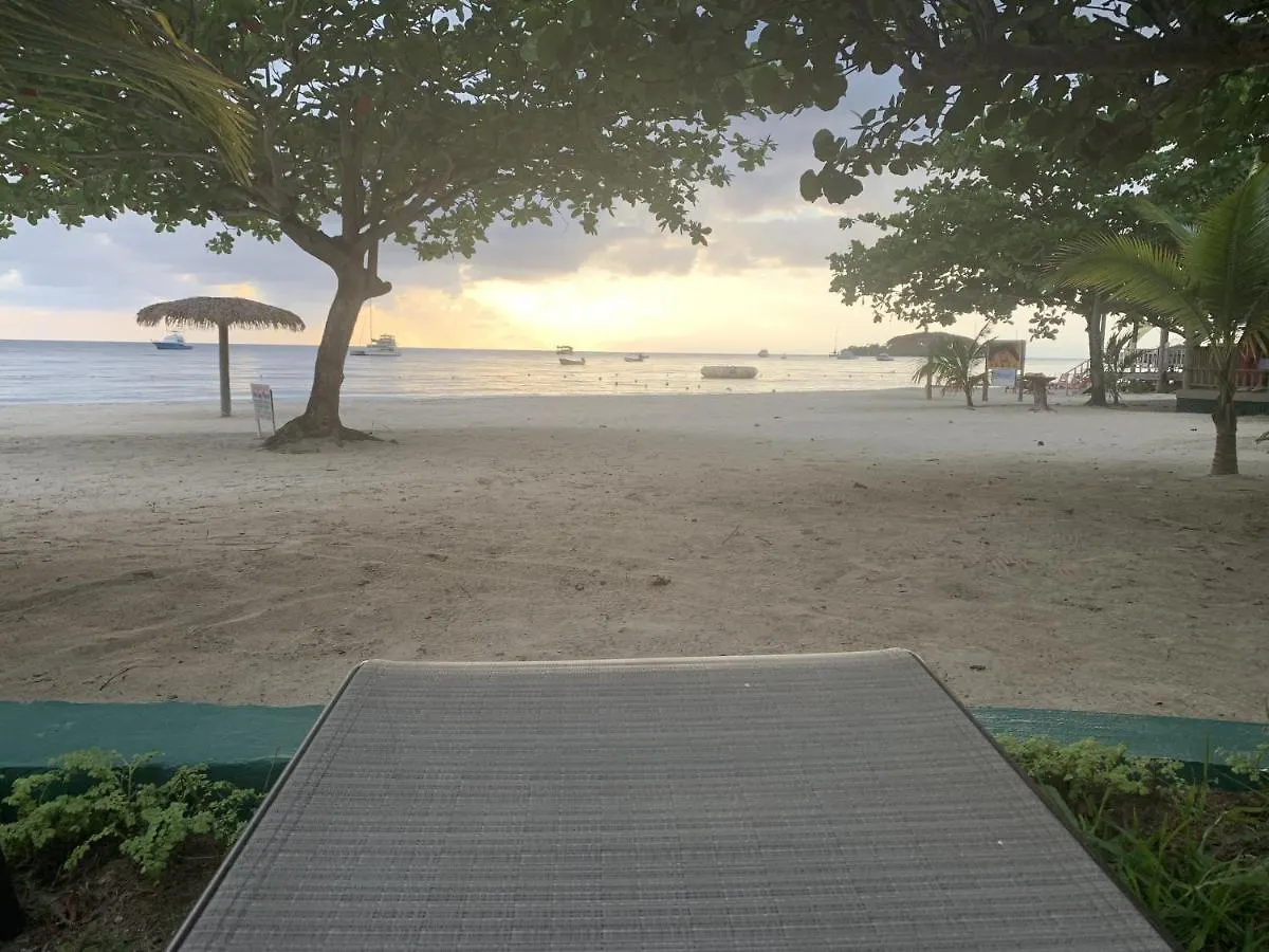 King Suite At Oceanview Resort In Jamaica - Enjoy 7 Miles Of White Sand Beach! Negril 0*,
