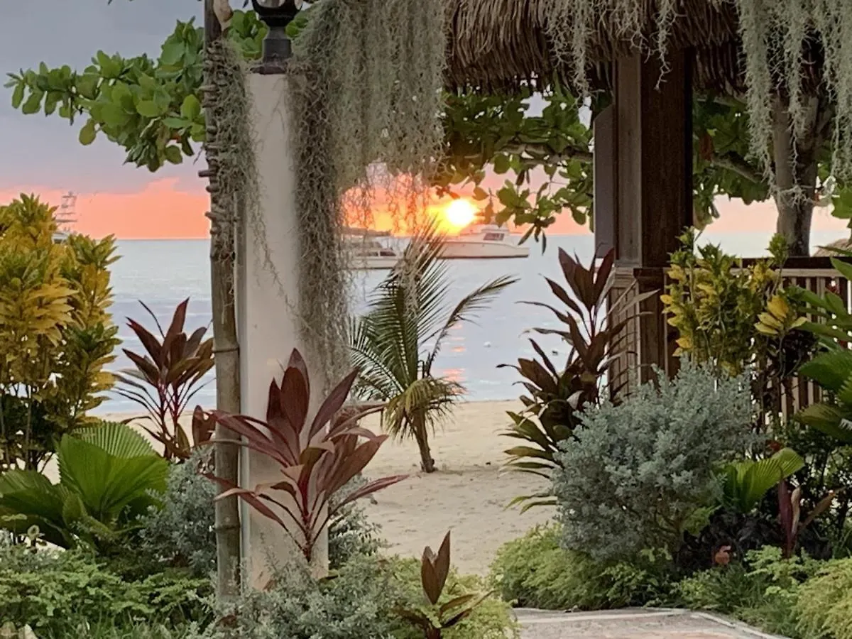 King Suite At Oceanview Resort In Jamaica - Enjoy 7 Miles Of White Sand Beach! Negril Jamaica