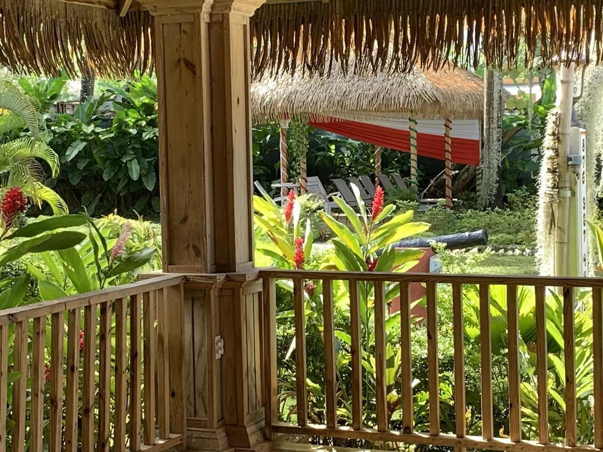 King Suite At Oceanview Resort In Jamaica - Enjoy 7 Miles Of White Sand Beach! Negril 0*,  Jamaica